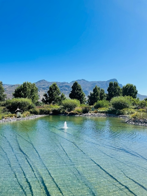 Paserene winery - Franschhoek - South Africa - FooDiva